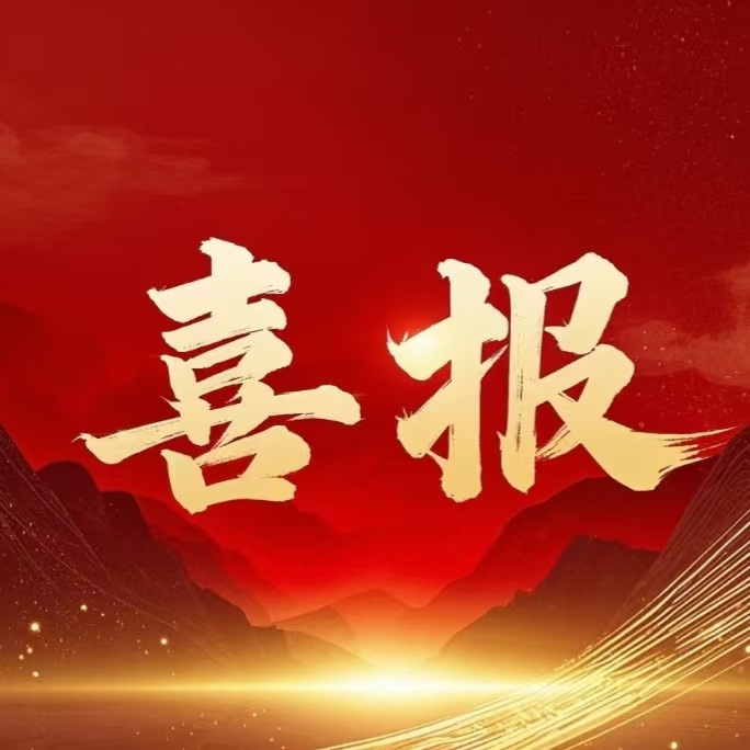 【喜报】嘉惠液压机械获常德经开区 “两优一先”先进基层党组织与标杆党组织奖